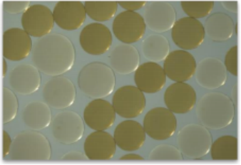 SDI再生樹脂服務(wù)：資源循環(huán)利用的綠色創(chuàng)新